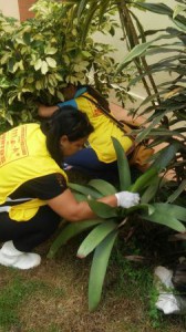 IMG-20160213-WA0025