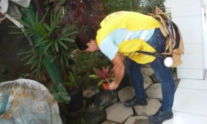 IMG-20160213-WA0026