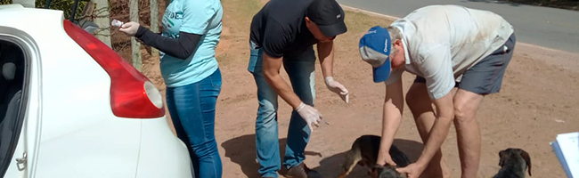 1º sábado de vacinação contra raiva tem mais de 2.200 cães e gatos vacinados em Afonso Cláudio