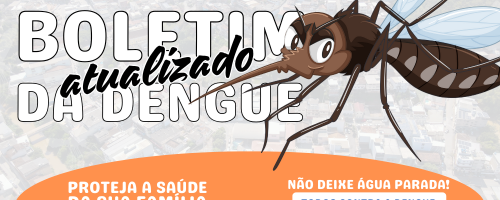 Boletim Epidemiológico atualizado da Dengue, Chikungunya, Zika e Oropouche