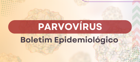 PARVOVÍRUS – Boletim Epidemiológico